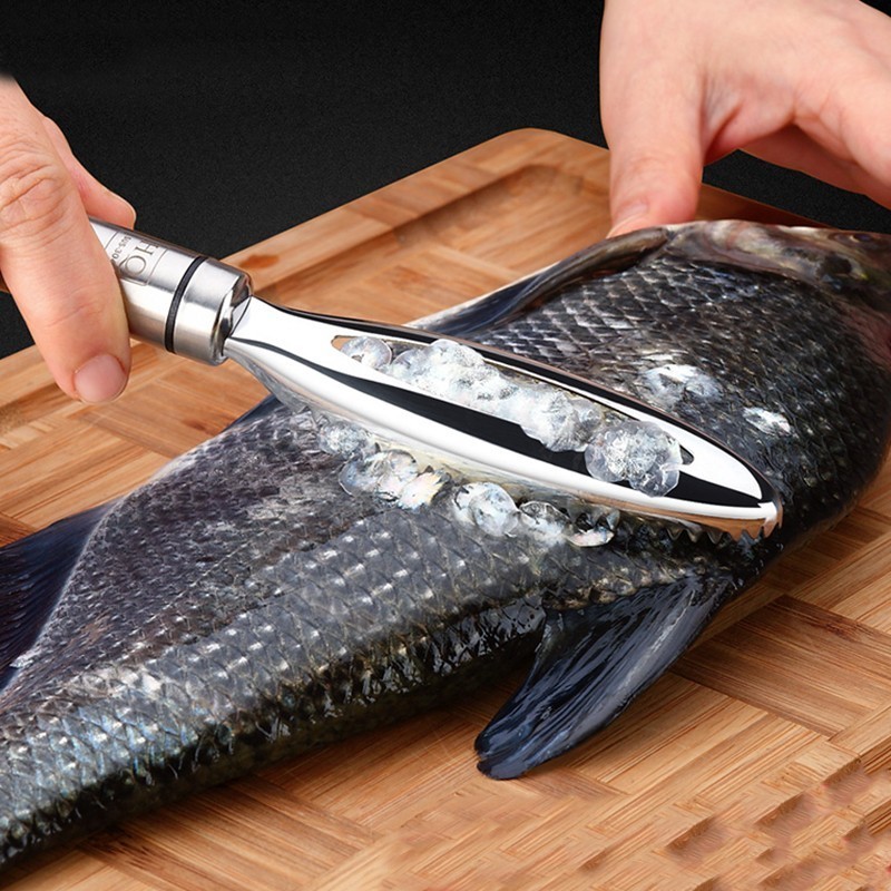 Kitchen Gadget Amazon - Inoxydable Écailles de Poisson Grattage Râpes