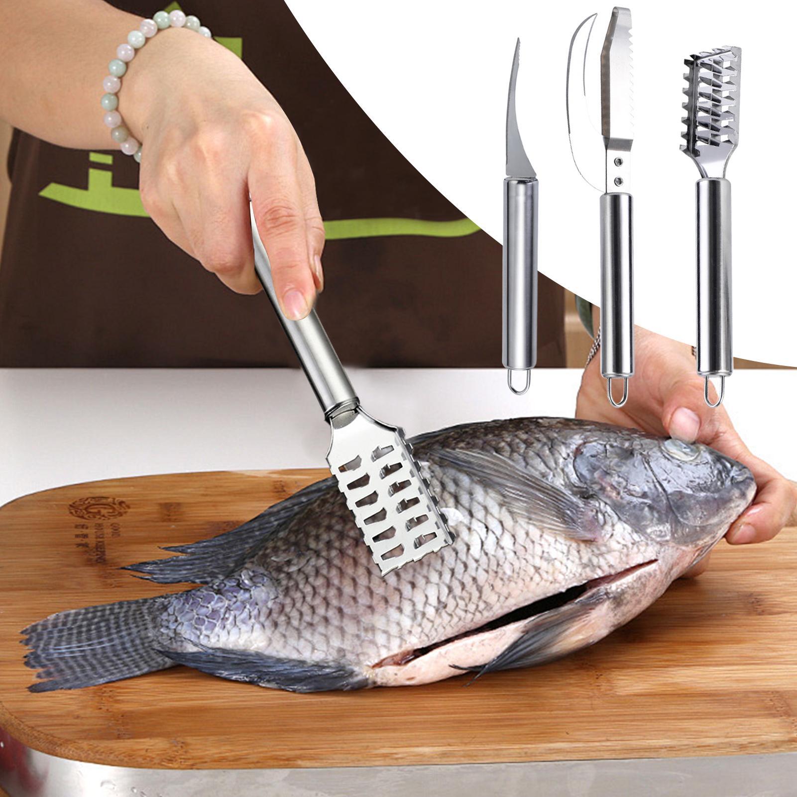 Couteau à écailler le poisson, - Kitchen Gadget Amazon avis et prix