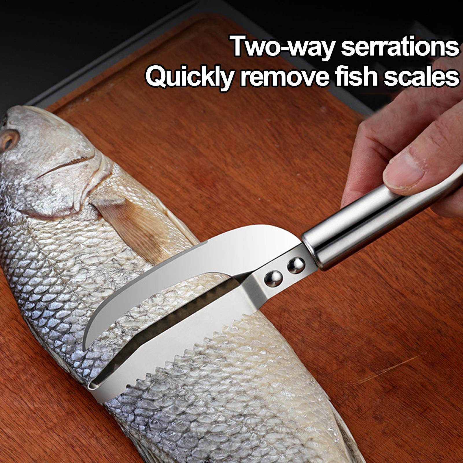 Couteau à écailler le poisson, - Kitchen Gadget Amazon avis et prix