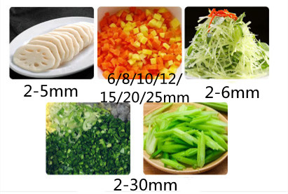 Machine industrielle automatiq - Vegetable Chopper avis et prix