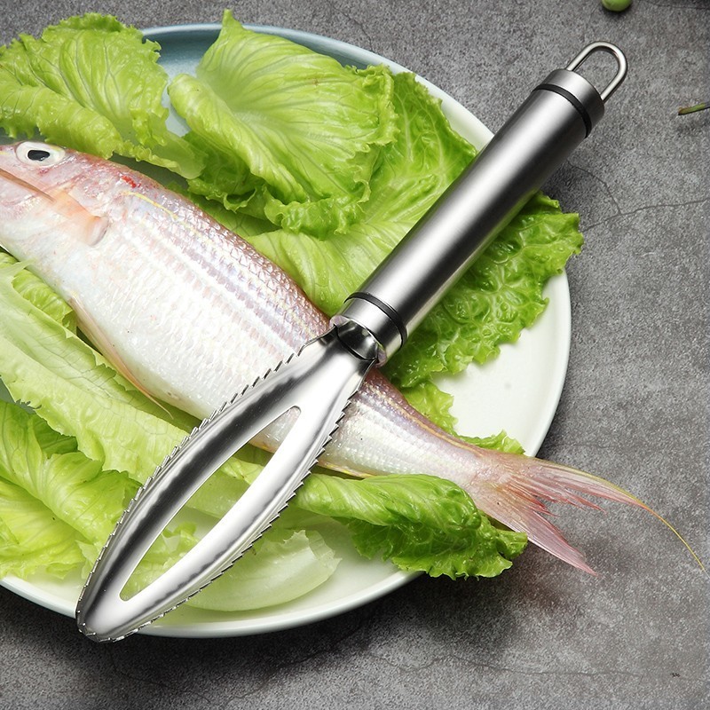 Inoxydable Écailles de Poisson - Kitchen Gadget Amazon avis et prix