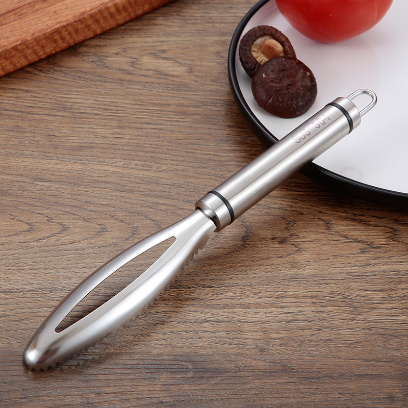 Inoxydable Écailles de Poisson - Kitchen Gadget Amazon avis et prix
