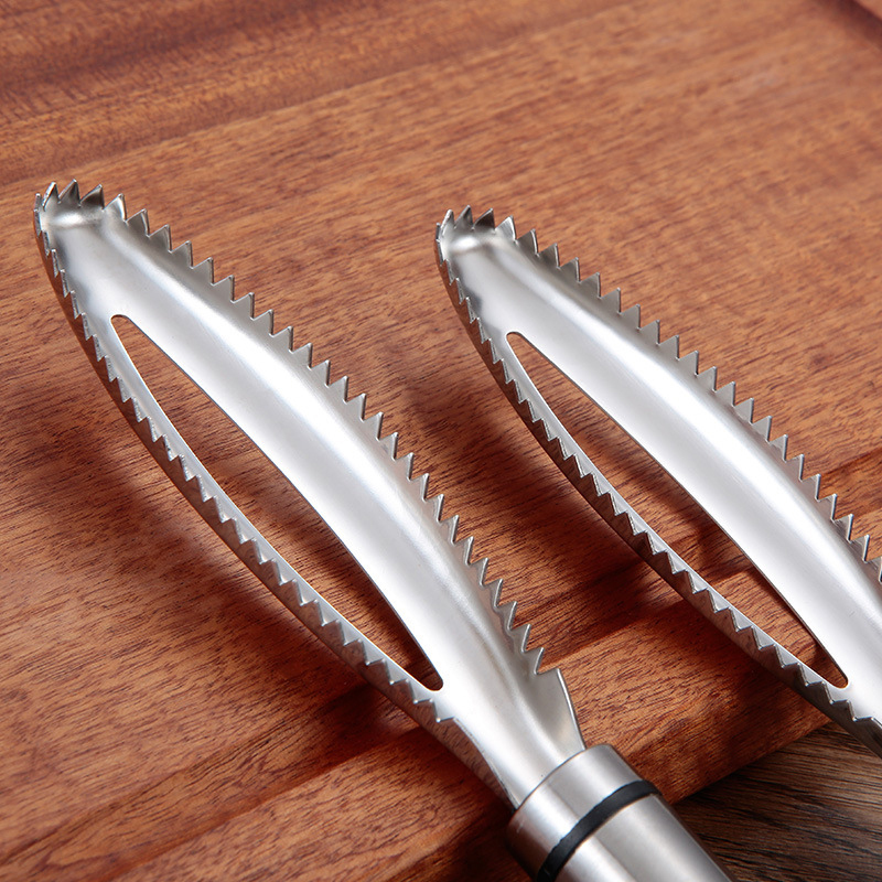 Inoxydable Écailles de Poisson - Kitchen Gadget Amazon avis et prix